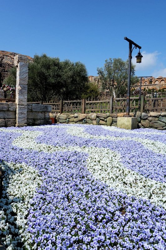 DisneySea(8)