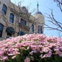 20130411_DisneySea_9a.jpg