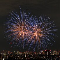 D85_7087AI