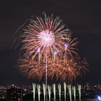 D85_7097_01AI