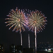 2015 FireWorks(19)