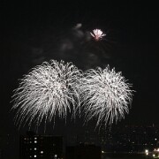 2015 FireWorks(21)