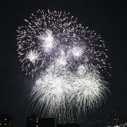 2015 FireWorks(22)