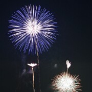 2015 FireWorks(24)