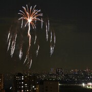 2015 FireWorks(4)
