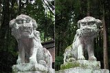 戸隠神社 宝光社狛犬