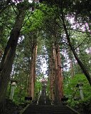 20010720_戸隠神社 宝光社(3)
