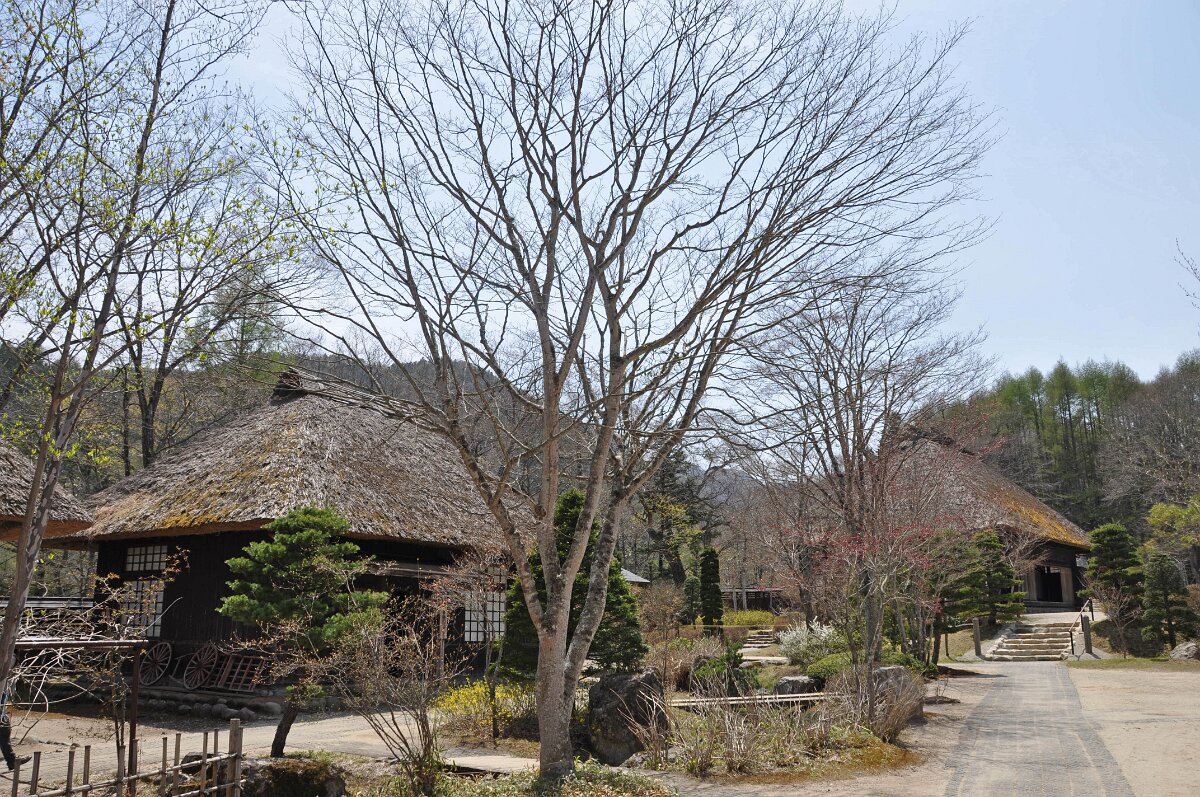 DSC 0416e