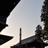 DSC 0015