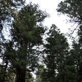 DSC 0016