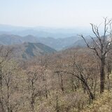 DSC 0332