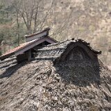 DSC 0400  平家の里