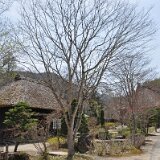 DSC 0416e