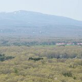 DSC 0446