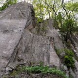 DSC 0530