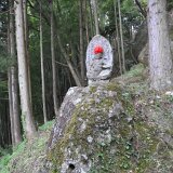 DSC 0533t  寛政八年(西暦1796年)