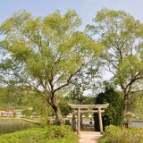 DSC 0612e