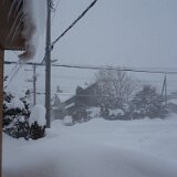 DSC08356