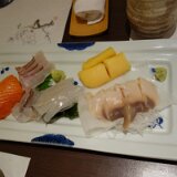 DSC08644  ヤリイカが透明