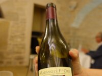 La dame d'aquitaine 3
