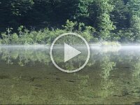 20140726 Myoujin-ike