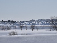 2016 HOKKAIDO(9)  雪景色