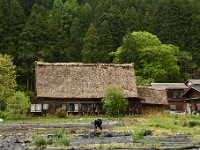 Shirakawago 10