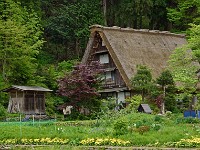 Shirakawago 3