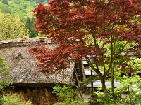 Shirakawago 8