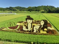 Obanazawa  尾花沢市　田んぼアート　スイカ太郎