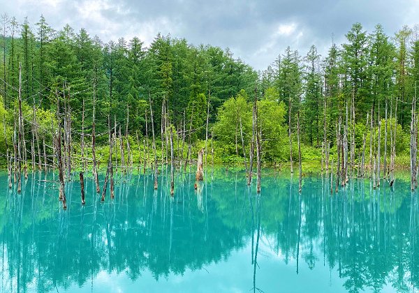 2020JUN Hokkaido