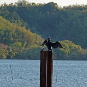 Hamanako Lake 5.jpg