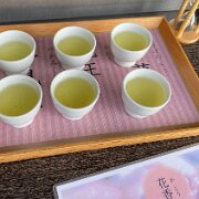 KAI Ensyu 4  効き茶