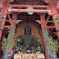IMG_0556re