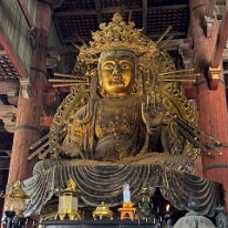 IMG_0577te