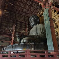 IMG_0589te