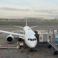 JAL101 06:30 羽田→07:35 大阪(伊丹)