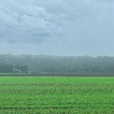 IMG 5337te  6時3分発の広尾行きバスに乗車　霧のなか田園地帯を走ります