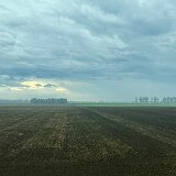 IMG E5345