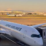 IMG E7577  2025年4月16日　JAL 503