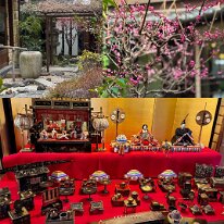 20260310_半兵衛麩 半兵衛 麩